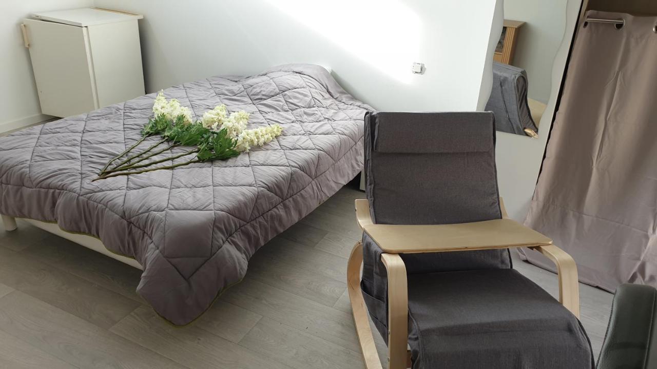 פואטייה Maison Et Appartements D'Anatole France Proche Centre-Ville, Universite - Chu, Patinoire Et Futuroscope מראה חיצוני תמונה